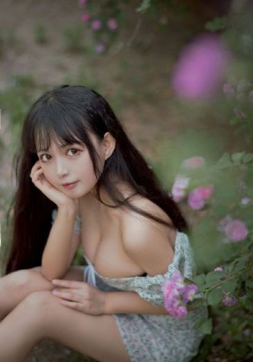 猎罪图鉴2全集免费观看_超清在线播放
