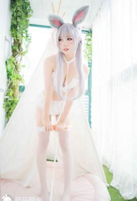 阿信电视剧全集免费观看_全集在线观看