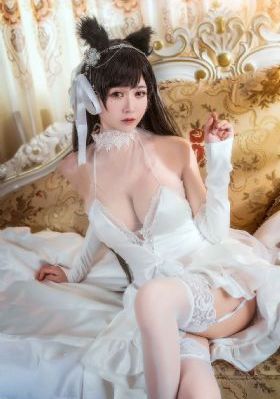 石纪元第一季免费观看高清版中文_超清视频大全